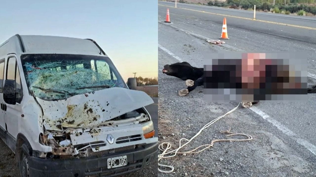 Un caballo suelto provocó un impactante choque en Ruta 40