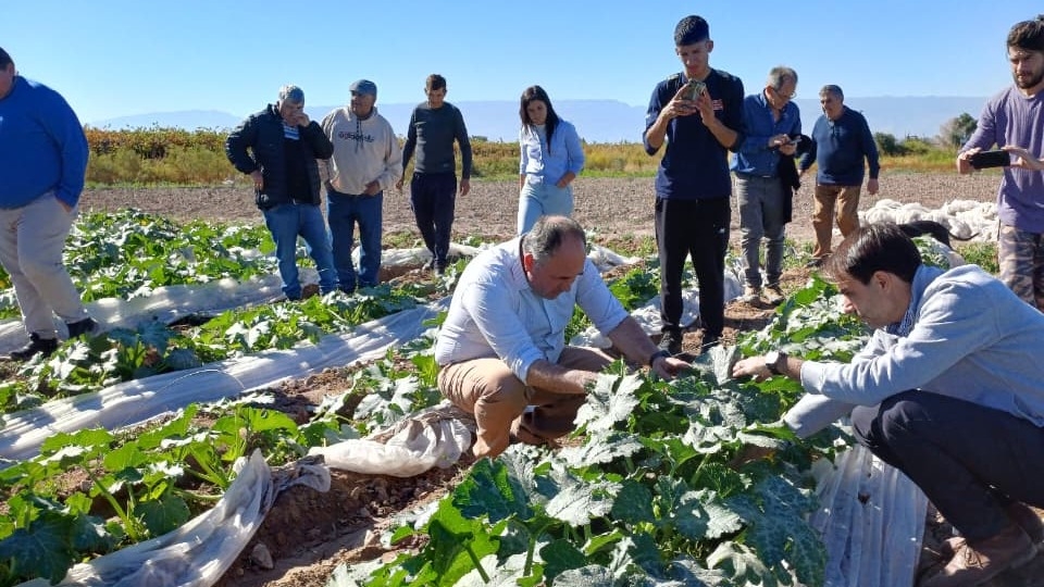 Gobierno provincial asistió a productores hortícolas afectados en Albardón