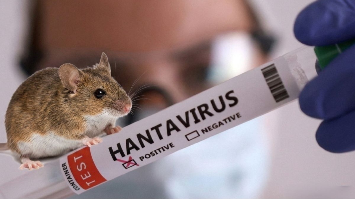 Confirmaron un caso de Hantavirus cepa Andes en Argentina