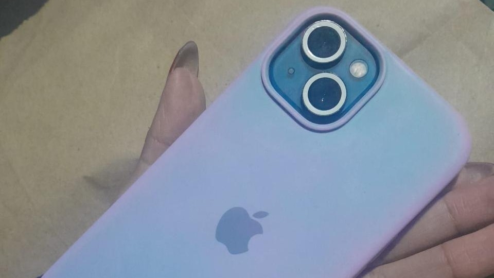 Quiso robarle el celular a una joven y fue linchado por los vecinos