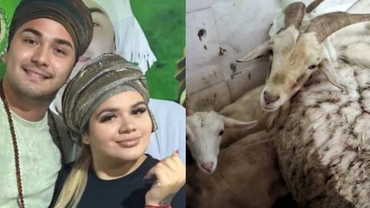 El pai umbanda vinculado a More Rial dijo qué hacen con los animales rescatados