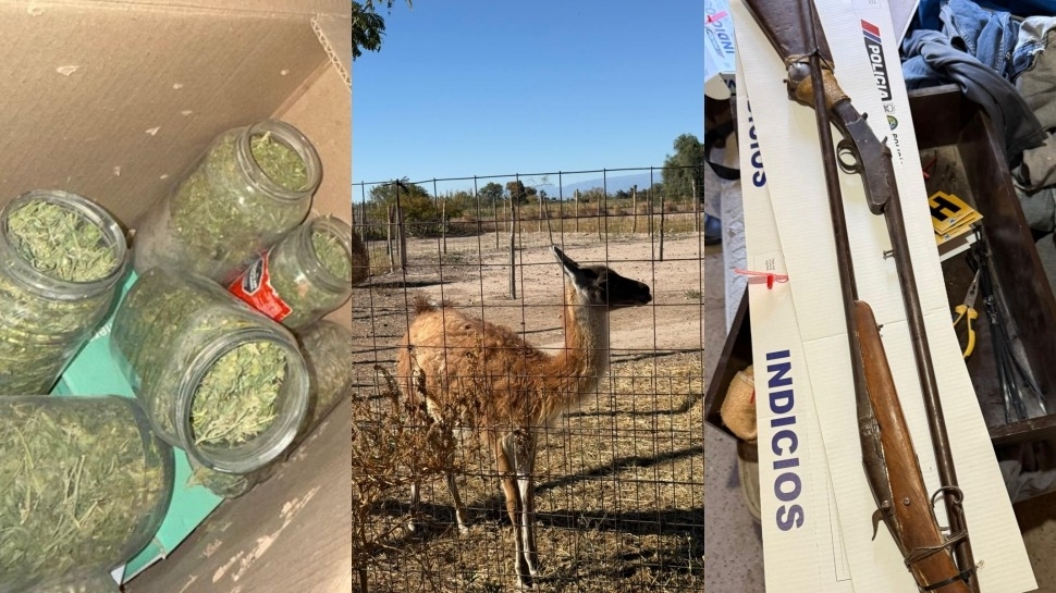 Secuestraron armas, drogas y fauna silvestre en dos allanamientos en Pocito