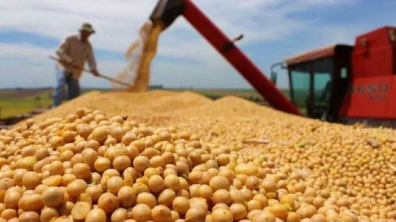  El campo mejoró su proyección de ingreso de dólares