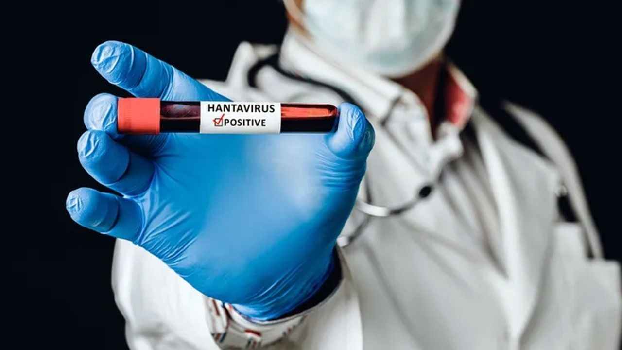 Alerta por hantavirus en Buenos Aires por siete muertes y 18 casos