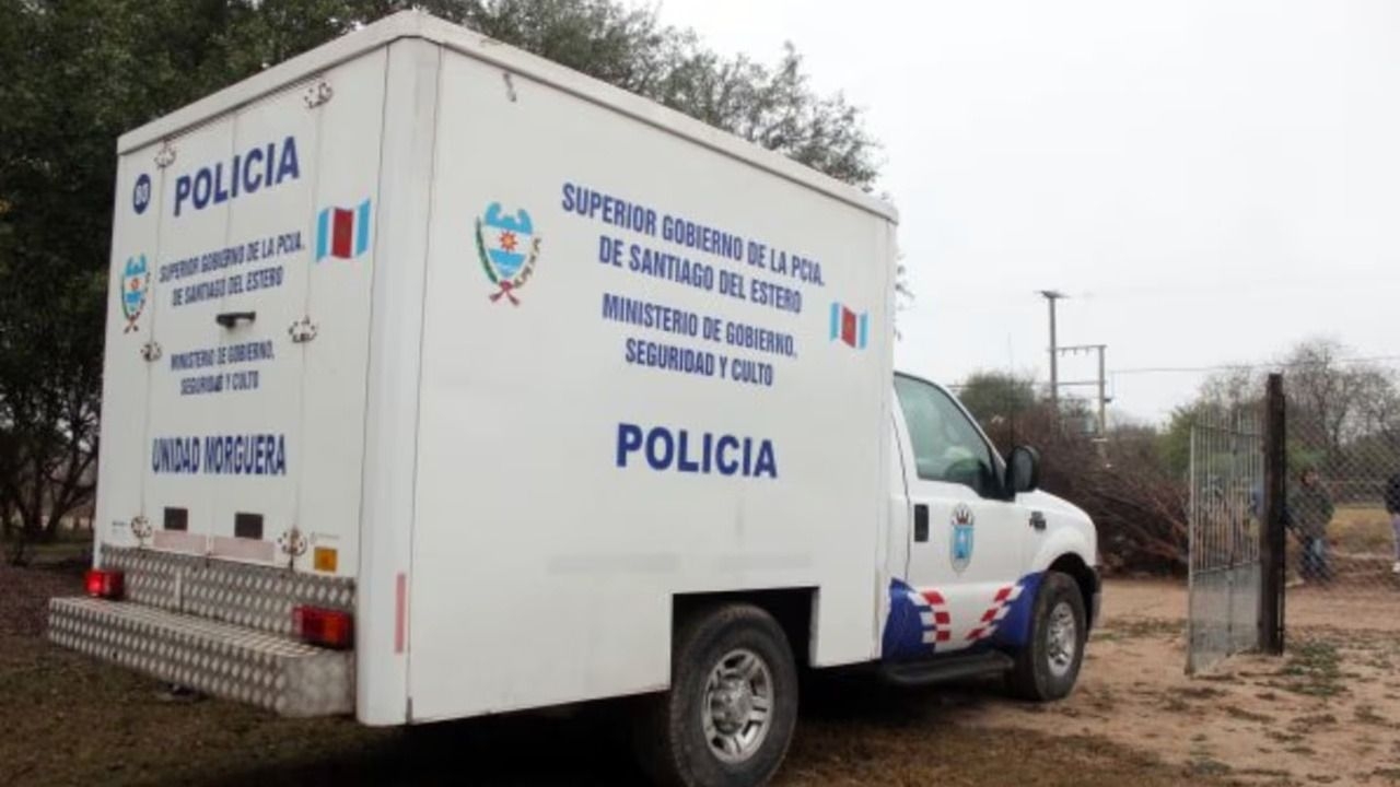Murió un hombre de 91 años tras ser atacado por abejas