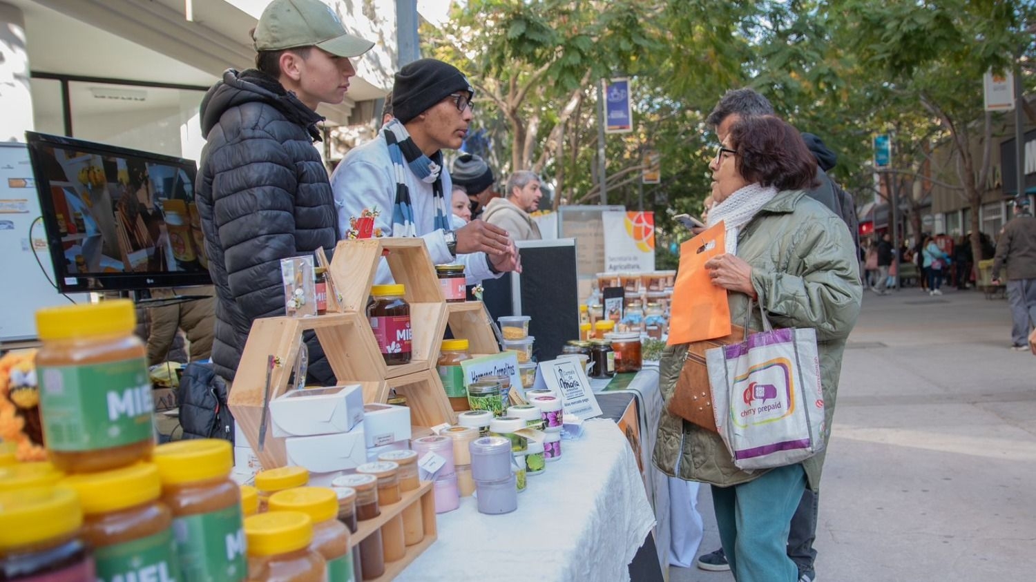 El Día Internacional de la Abeja tuvo su feria especial con lo mejor de la producción sanjuanina