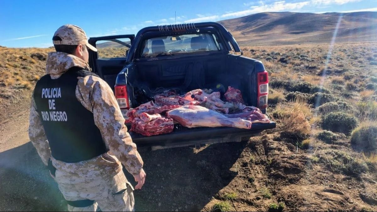Desmantelan transporte clandestino de carne en un móvil de la Fuerza Aérea