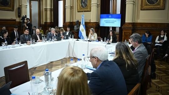 Debate en el Senado por la modificación de régimen de tierras
