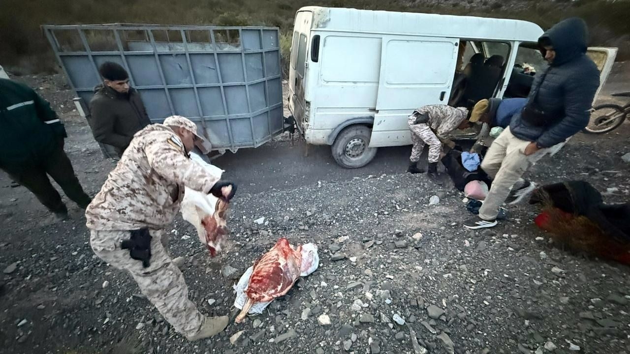 Secuestraron carne de guanaco y una combi por caza furtiva