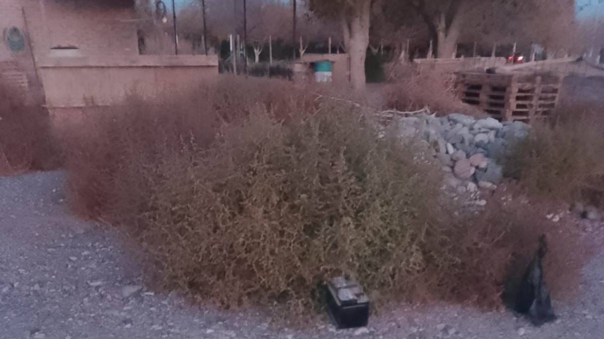 Entraron a robar a una casa y terminaron detenidos