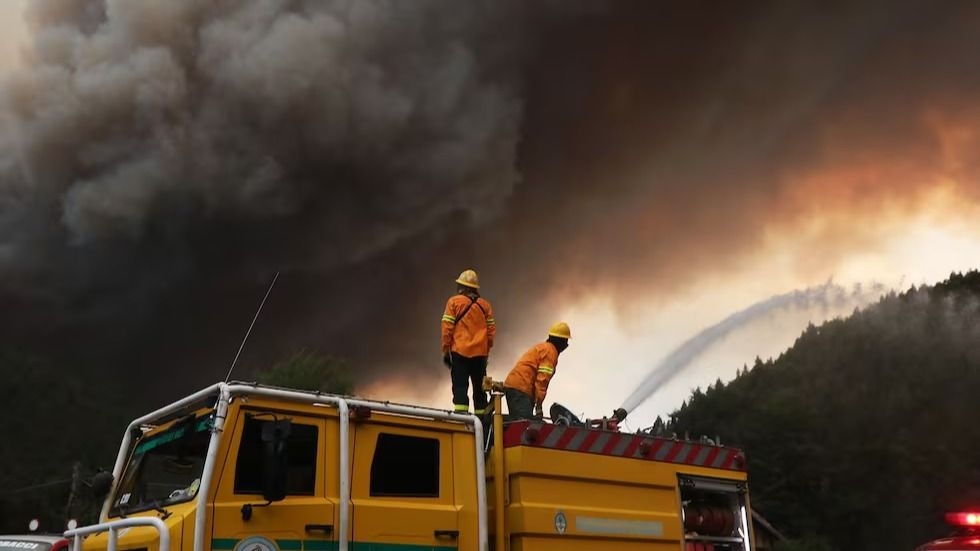 Estado crítico del ambiente en recortes y pérdida de Biodiversidad