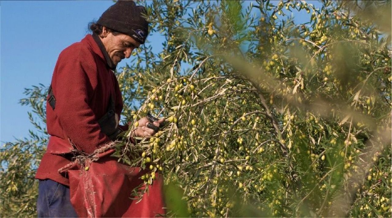 Renatre advierte que la precariedad se mantiene en zonas rurales sanjuaninas
