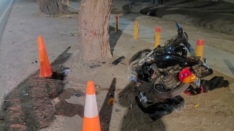 Un motociclista chocó contra un árbol y se encuentra en estado grave