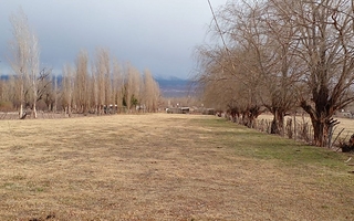 Alerta amarilla en el Gran San Juan por viento Zonda y nevadas en la cordillera