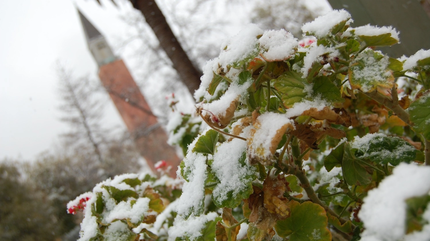 Este domingo 29 de junio podría nevar en San Juan