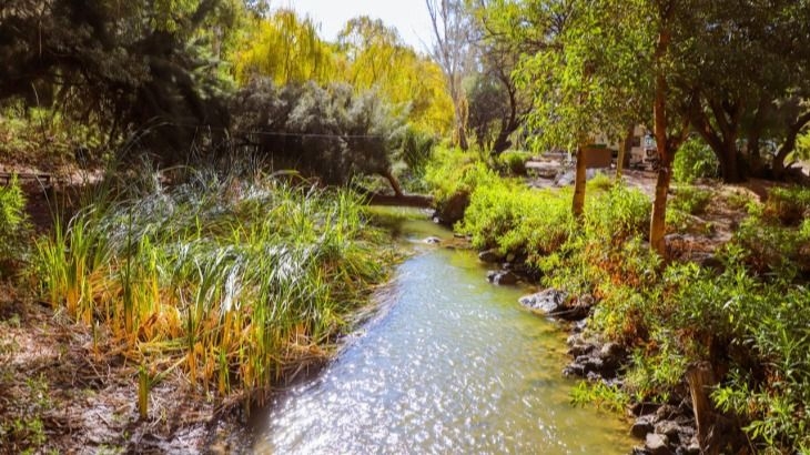 Presentan el Parque Aventura Cauquenes en Jáchal para potenciar el turismo