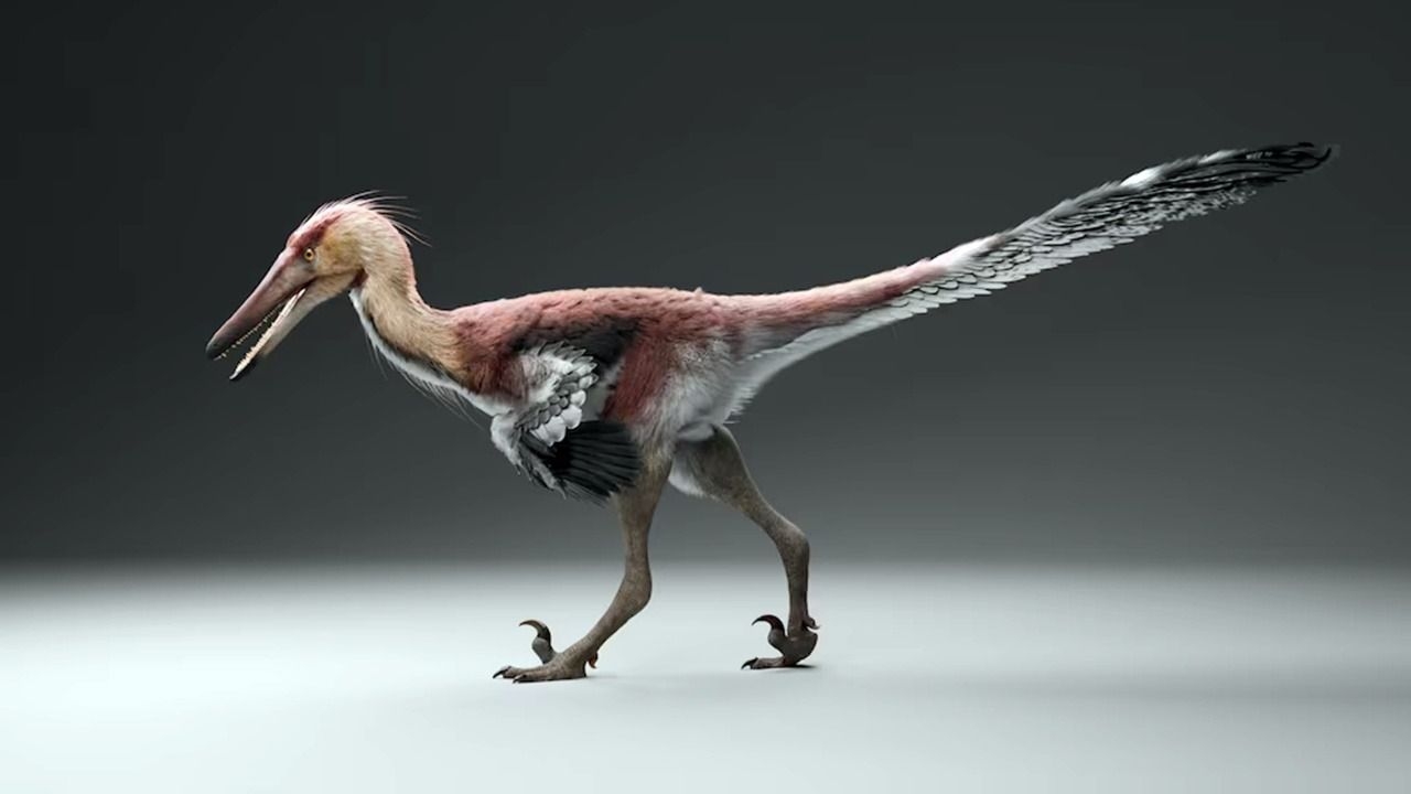 Hallan un nuevo dinosaurio raptor que une a la Patagonia y Antártida