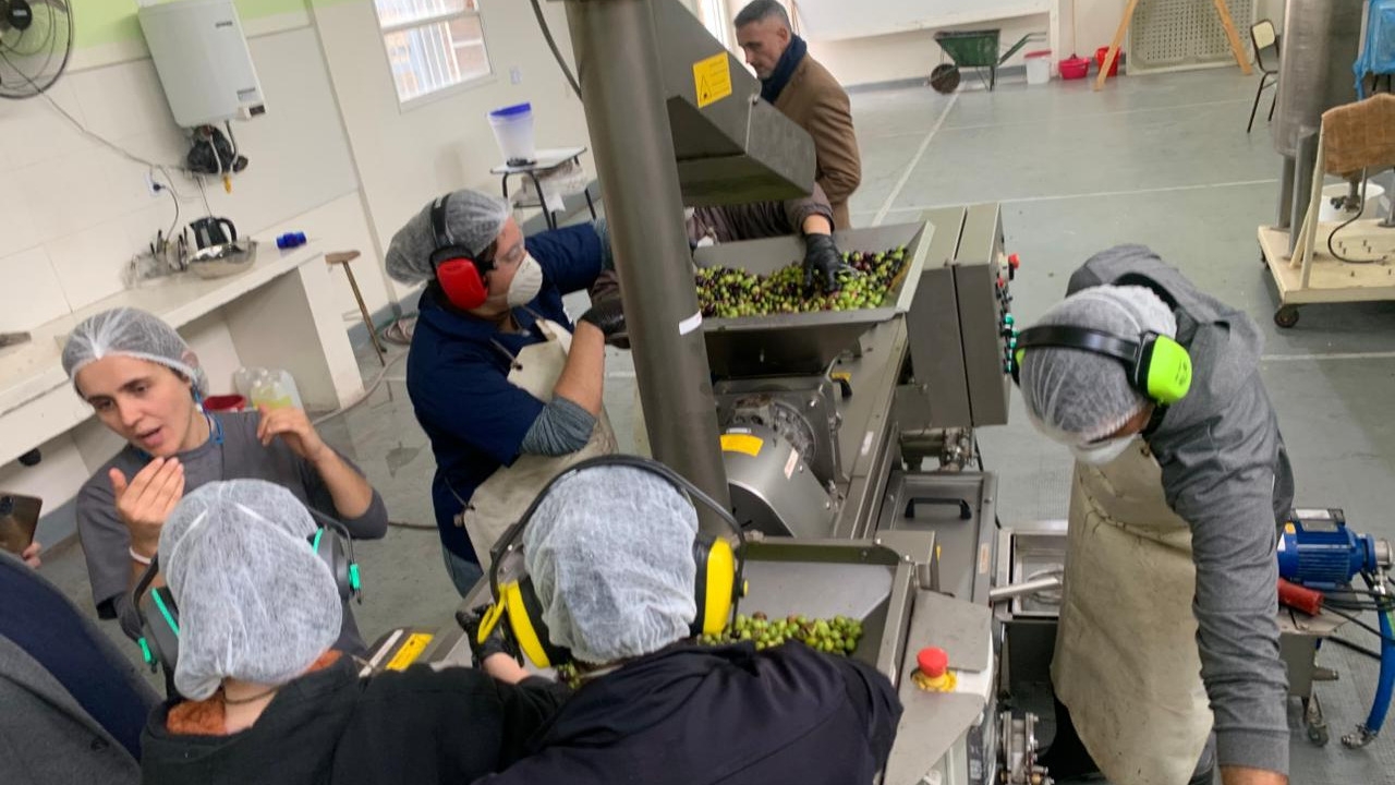 La Escuela de Enología incorporó una moderna máquina para producir aceite de oliva