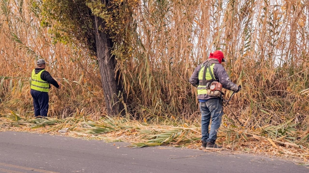 Tras el reclamo, limpiaron un sector en Pocito que estaba 'abandonado'