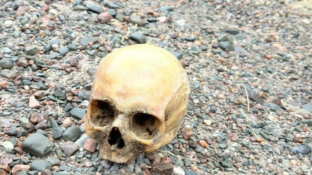 Encontraron un cráneo humano en Punta Negra