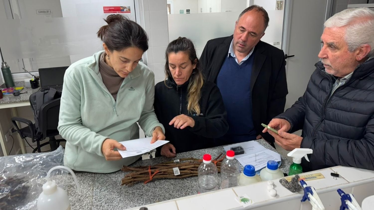 San Juan importó nuevas variedades de vid para ampliar su oferta