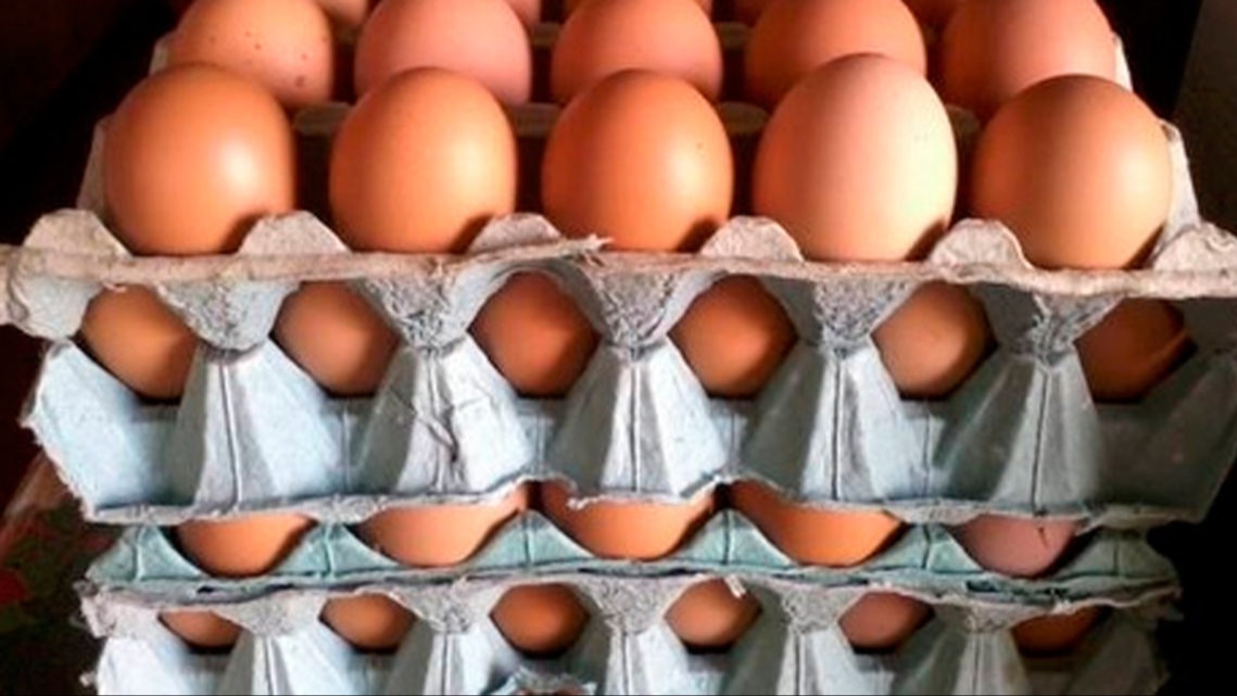 Escalaron una pared y robaron más de 100 maples de huevos en Carpintería