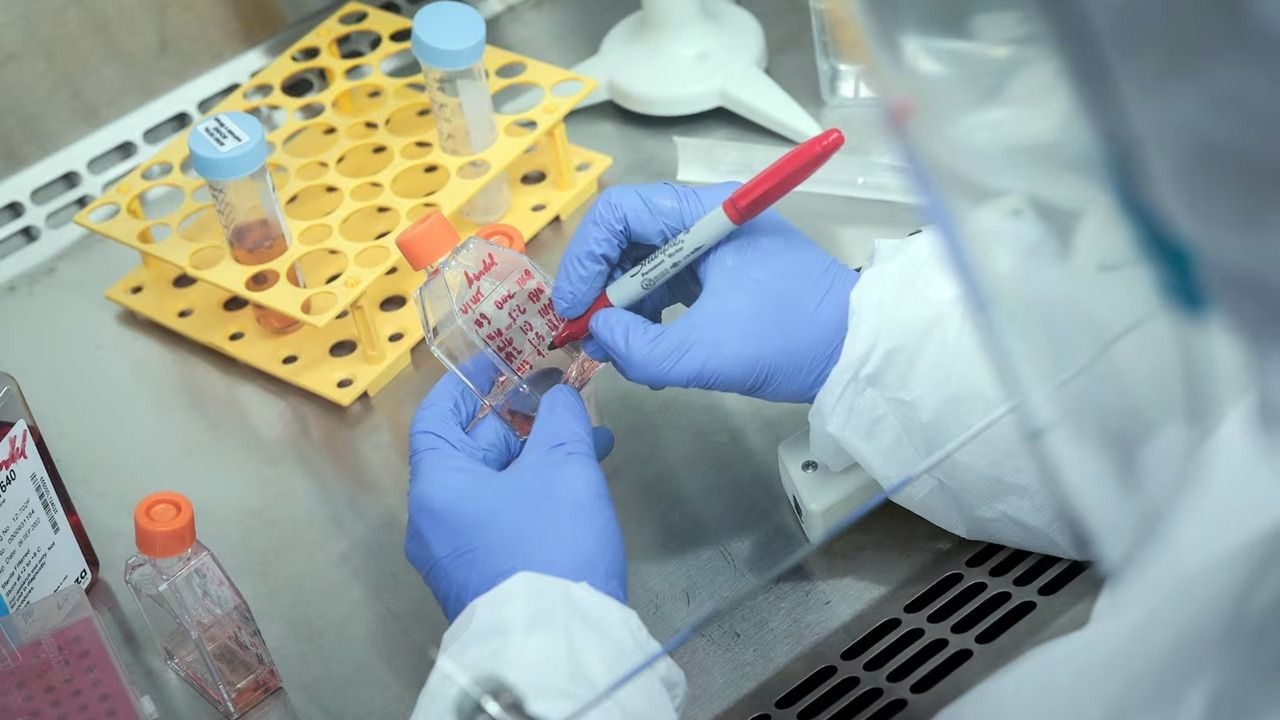 Brasil suspendió la vacuna contra el dengue tras dos muertes bajo investigación