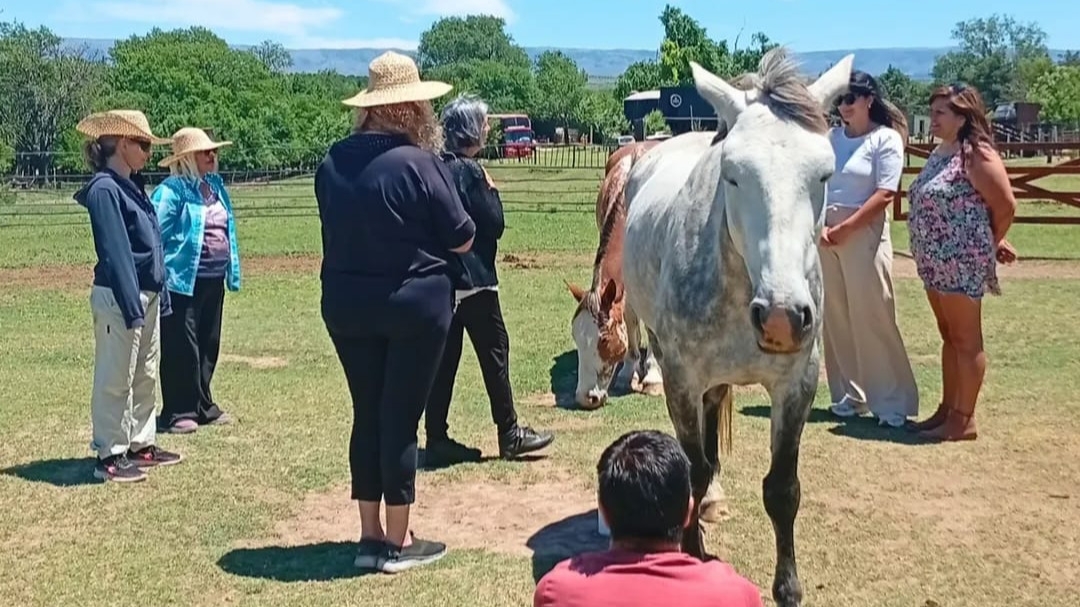 La terapeuta Verónica Palacios llega a San Juan con dos propuestas de desarrollo personal
