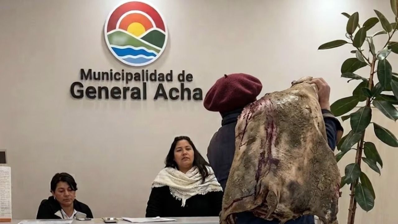 Con una media res al hombro, irrumpió en una municipalidad harto de ser robado