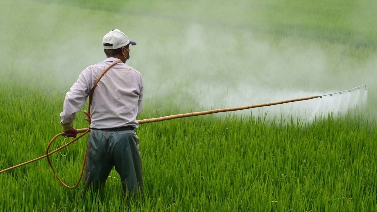 Chaco deberá frenar fumigaciones cerca de comunidades rurales y Qom