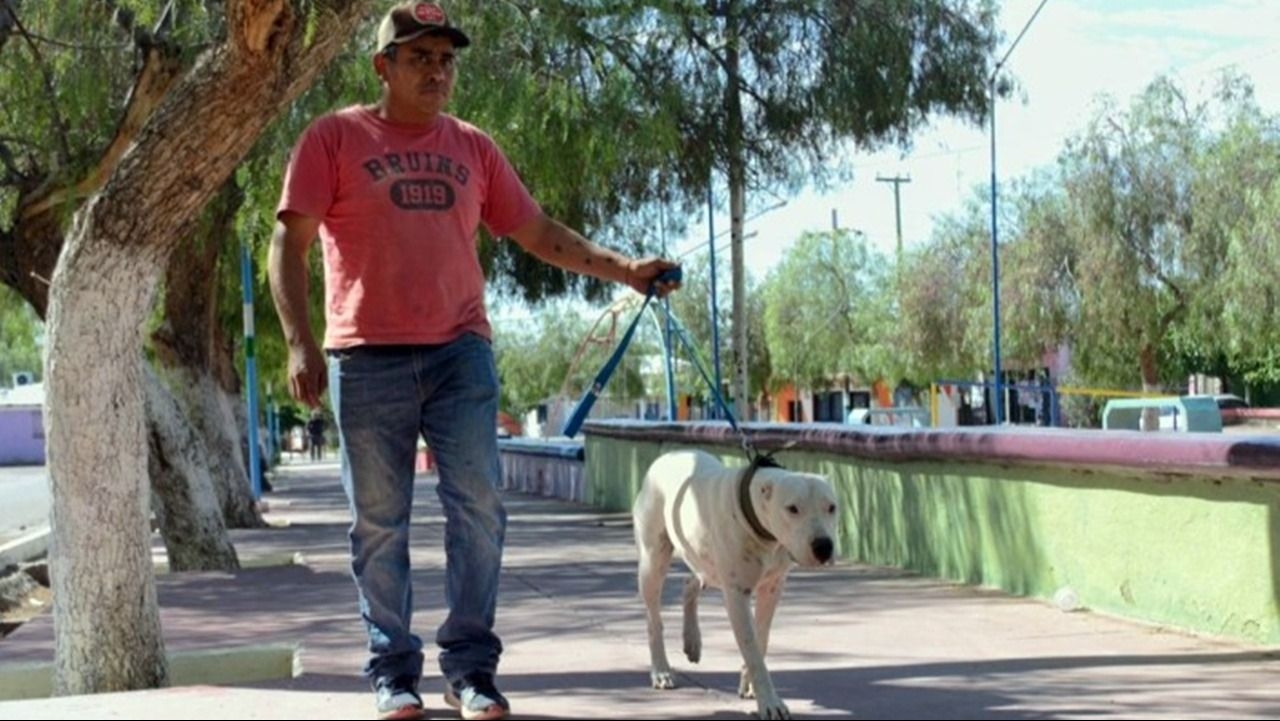 Continúan los operativos gratuitos para promover la tenencia responsable de mascotas