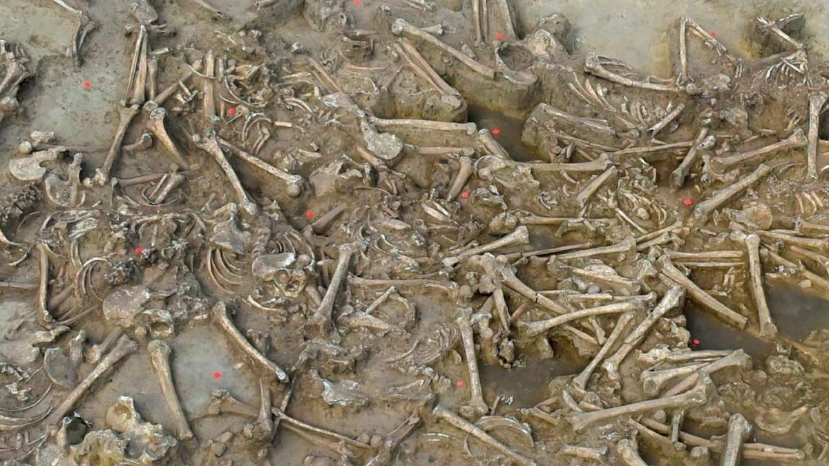 Descubrieron por qué decapitaron a 77 personas hace 7.000 años