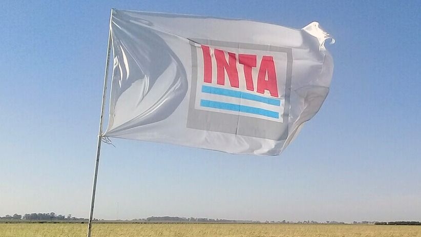 INTA San Juan perdió 13 empleados por retiros voluntarios