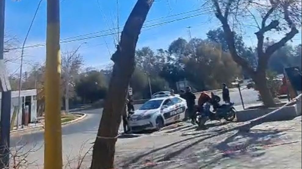 Podaba un árbol, cayó de altura y terminó hospitalizado