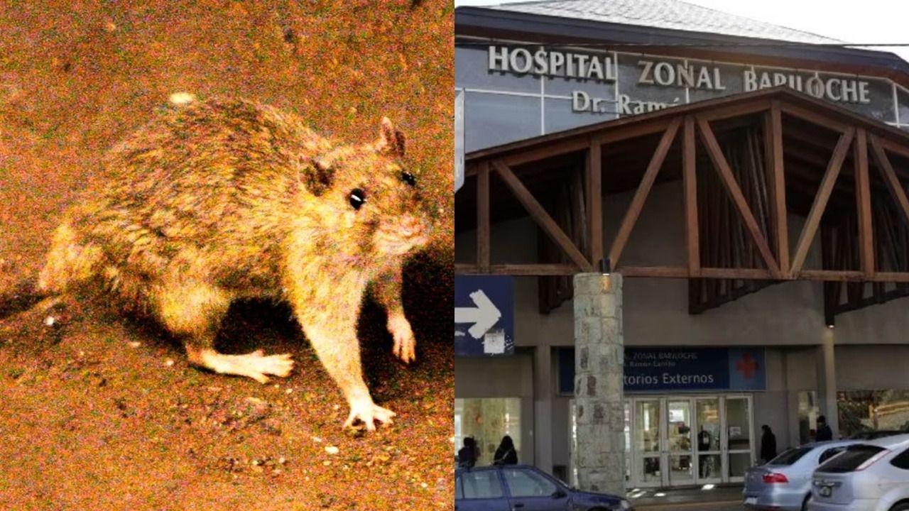Murió la mujer de 45 años que estaba internada por hantavirus en Bariloche