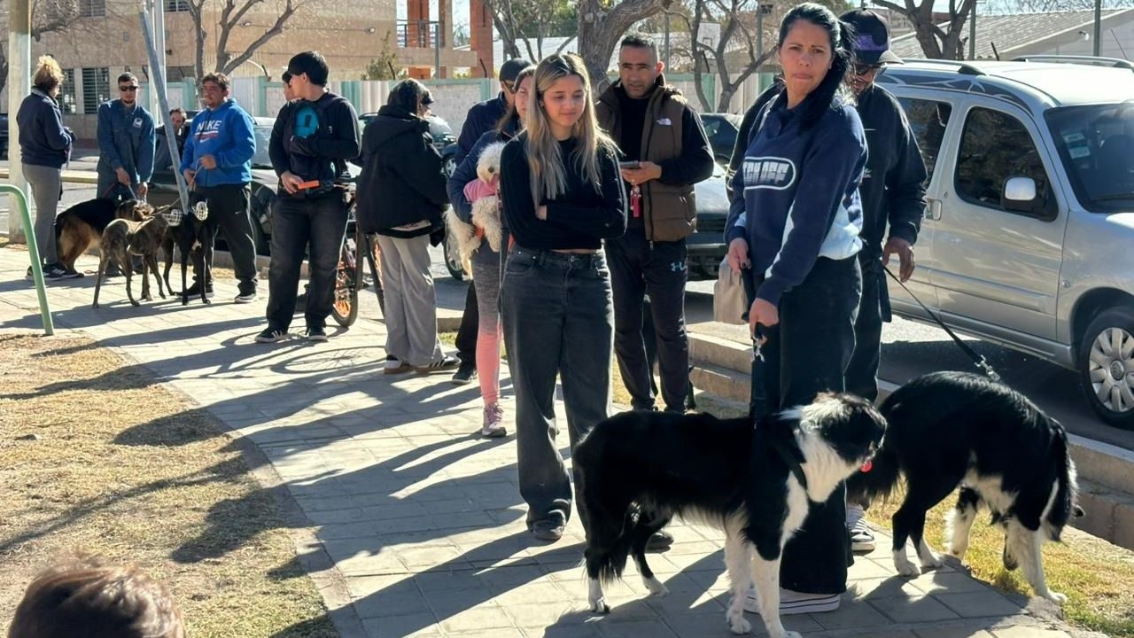 Vacunación, castración y reciclaje , el opertivo integral en el barrio Aramburu