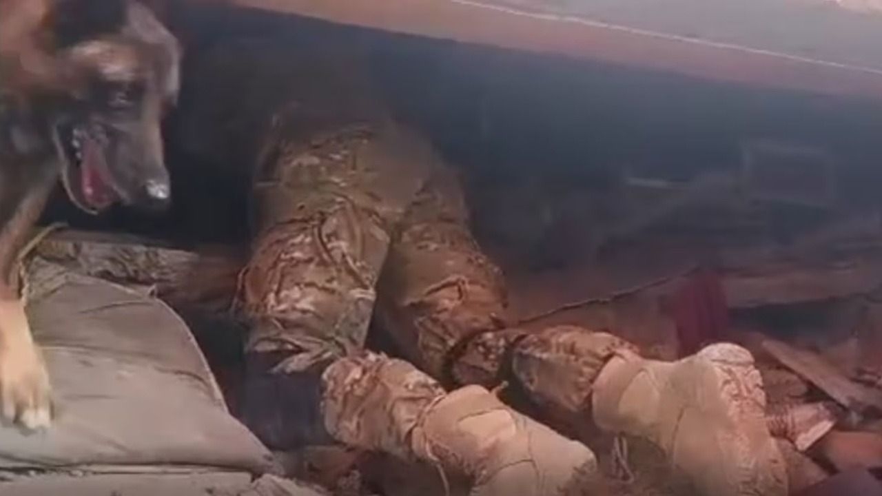 Un perro argentino halló con vida a dos niños bajo los escombros en Venezuela