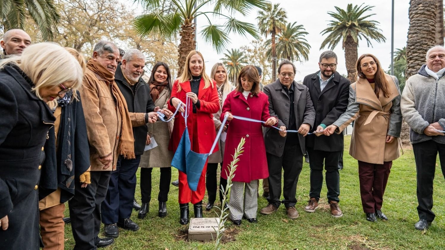 San Juan renovó el compromiso con la paz con la plantación del Olivo
