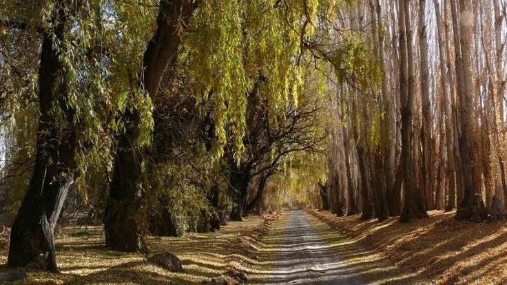 Qué hacer en Calingasta estas vacaciones de invierno: guía completa 