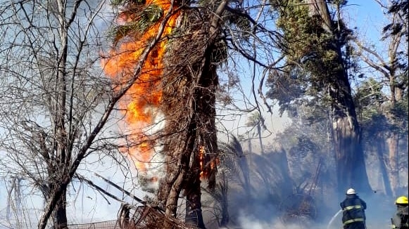 Bomberos apagó un incendio en un viñedo cerca del Aeropuerto 