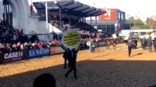 Veganos invadieron la Rural y sorprendieron a gauchos y caballos 