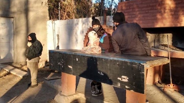 Zonda: esterilizaron a más de 200 mascotas durante julio