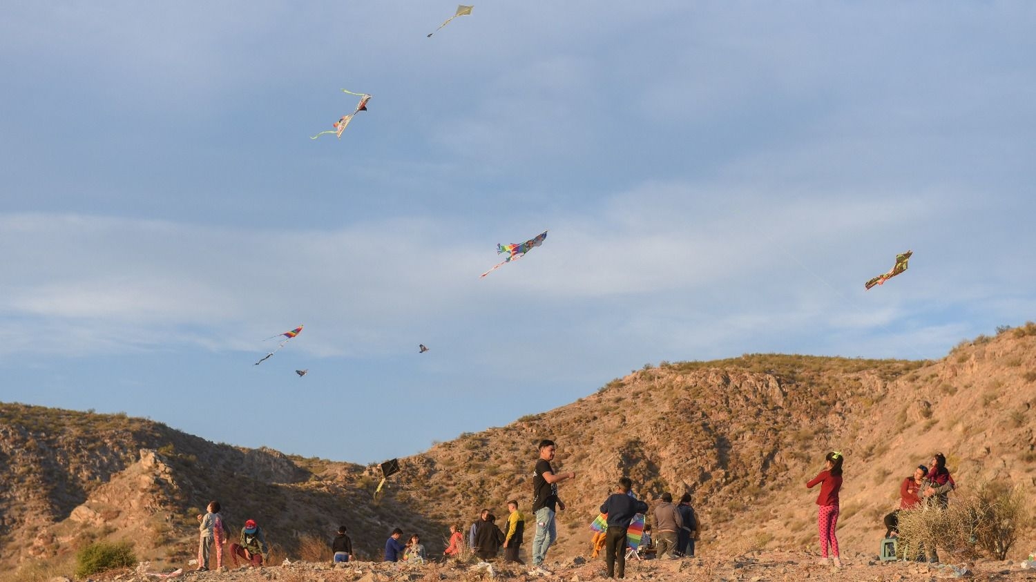Gratis y para toda la familia: Concurso de barriletes en el Aeroclub ...