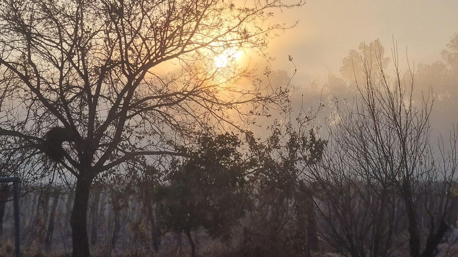 Después del calor llega una semana fresca: lo que anticipa el SMN para San Juan