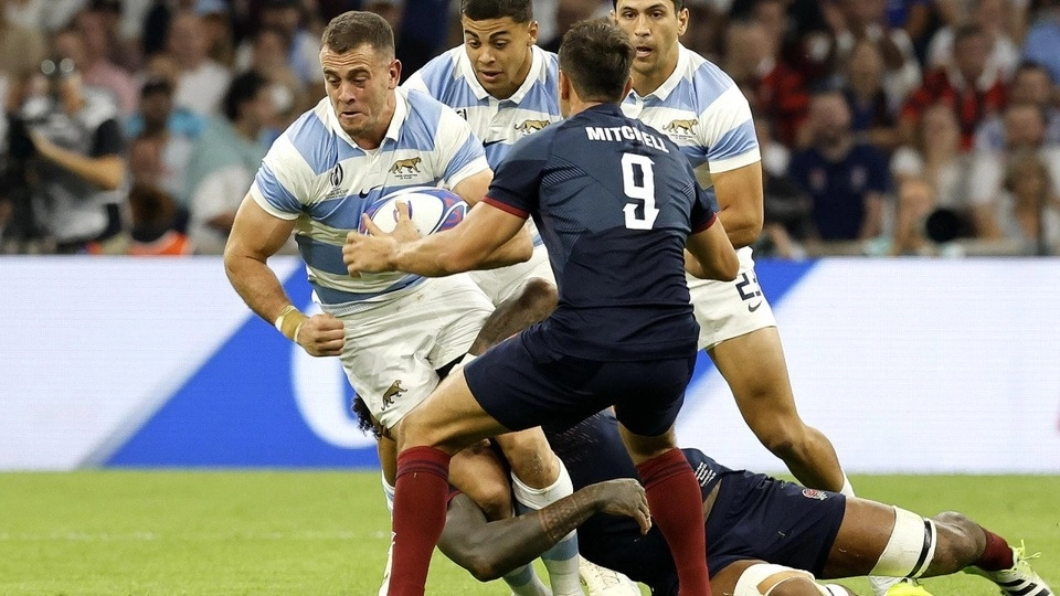 Los Pumas.
