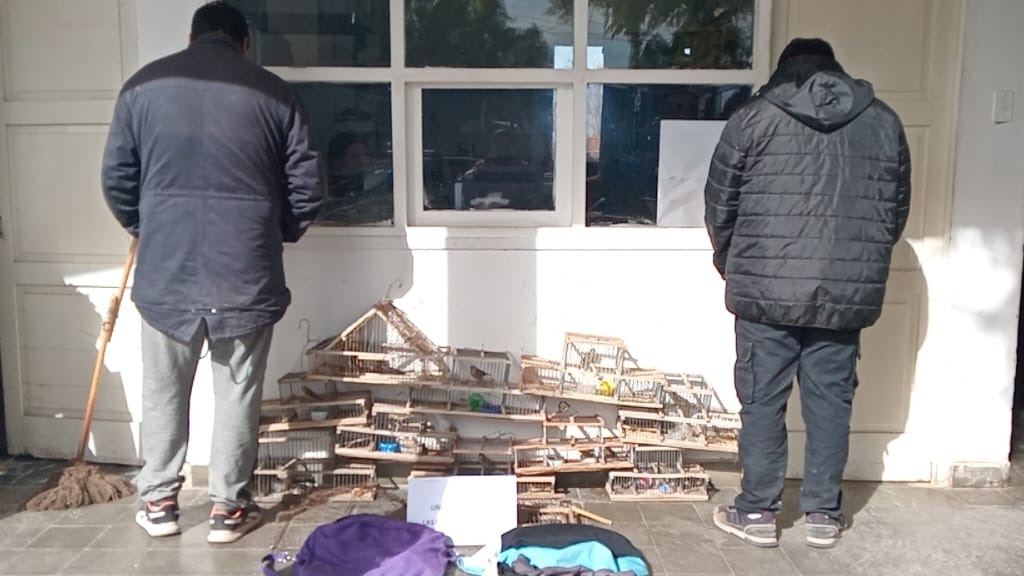 Detuvieron a cuatro hombres por caza ilegal de aves en San Juan