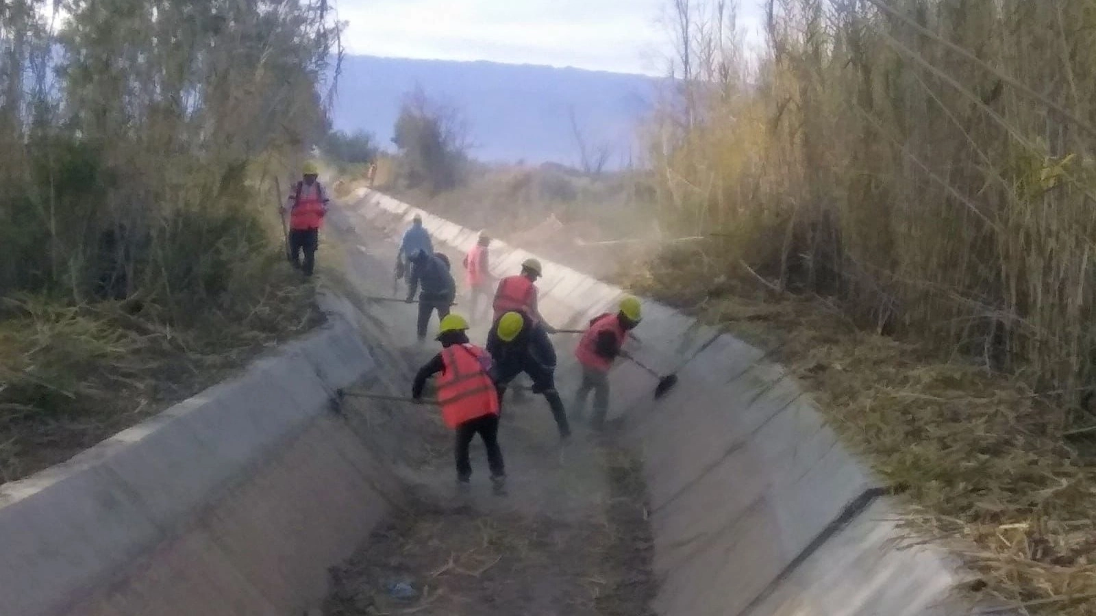 Avanza a buen ritmo la monda en la Primera y Segunda Zona de Riego
