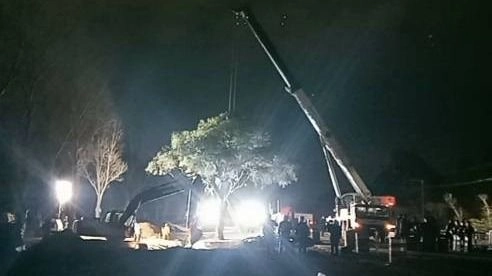 Quebracho histórico de Villa Allende: no pudieron moverlo y amenazan con talarlo