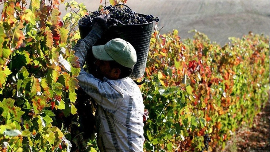 La Uatre acusó a empresas ligadas a Manzur por despidos y sueldos adeudados