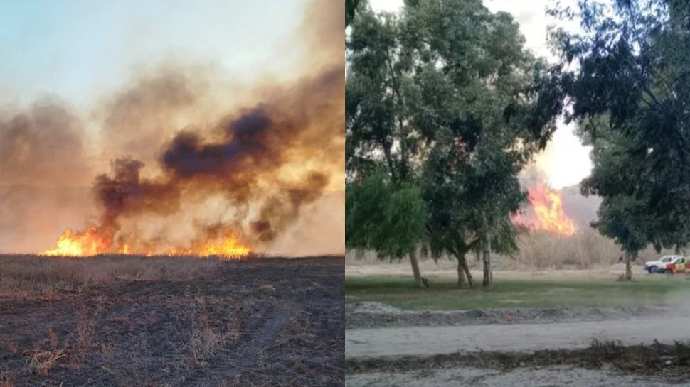 Dos incendios en Rivadavia y Pocito activaron el trabajo de bomberos